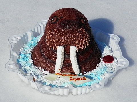 Уникальный торт в форме головы моржа