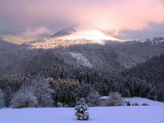 Зима в Приамурье (фото)