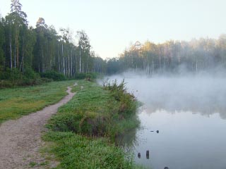 Лесное озеро осенним утром (фото)