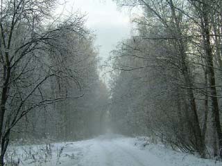 Зимняя дорога (фото)