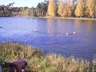 Озеро Бабелитес (Рига). Неторопливые латвийские моржи открывают сезон... (фото)