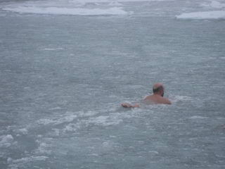 Плавание среди льдин (фото)